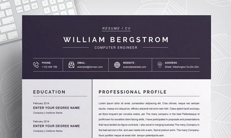 Professional Word Resume Template