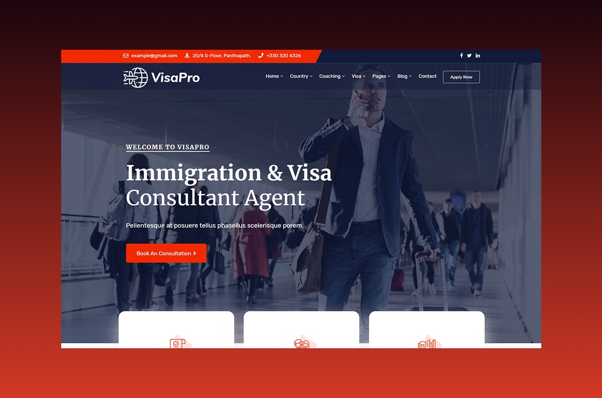 VisaPro WordPress Theme.