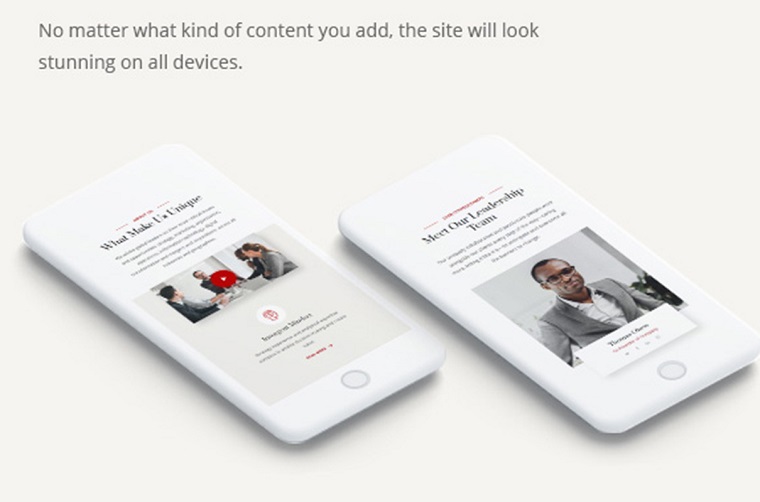 Fully Responsive & Retina-Ready Layout preview.