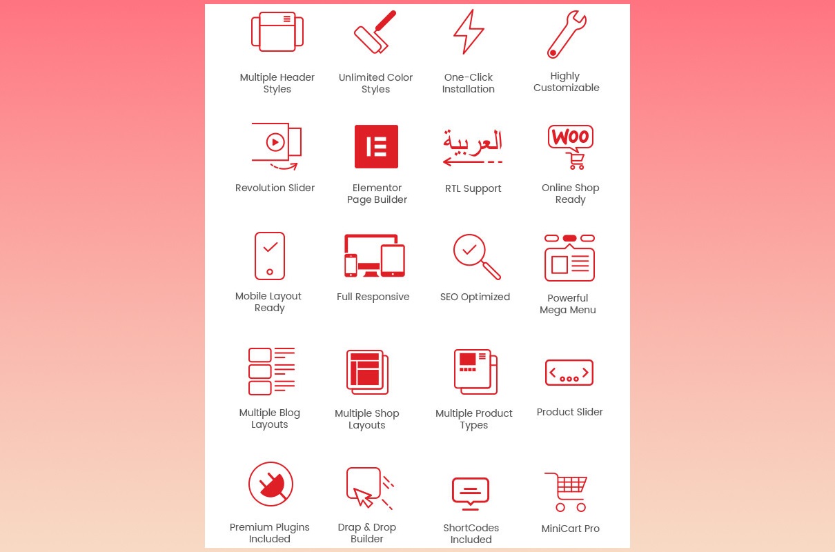 Shoppy store theme features.