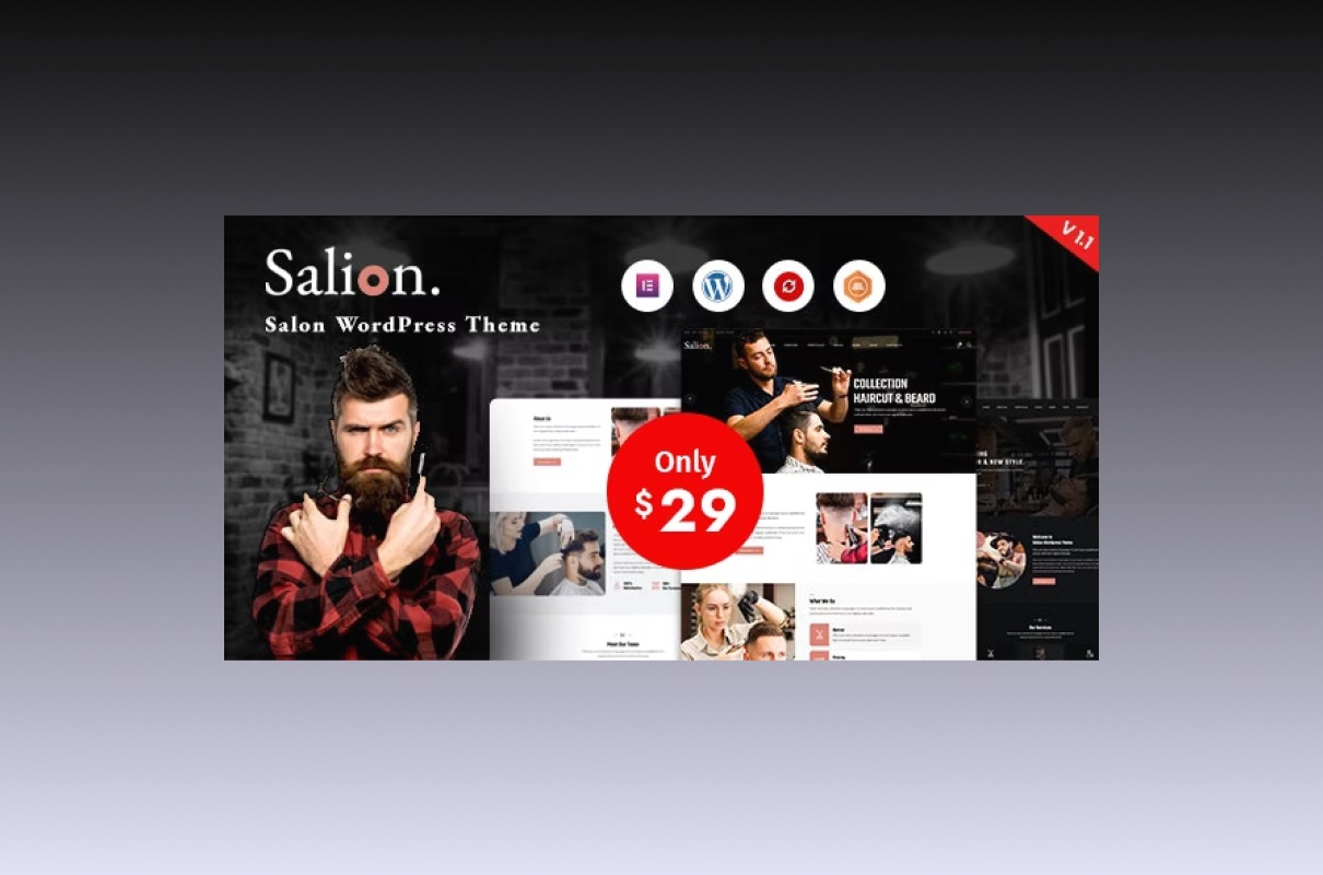 Salion WordPress theme preview.